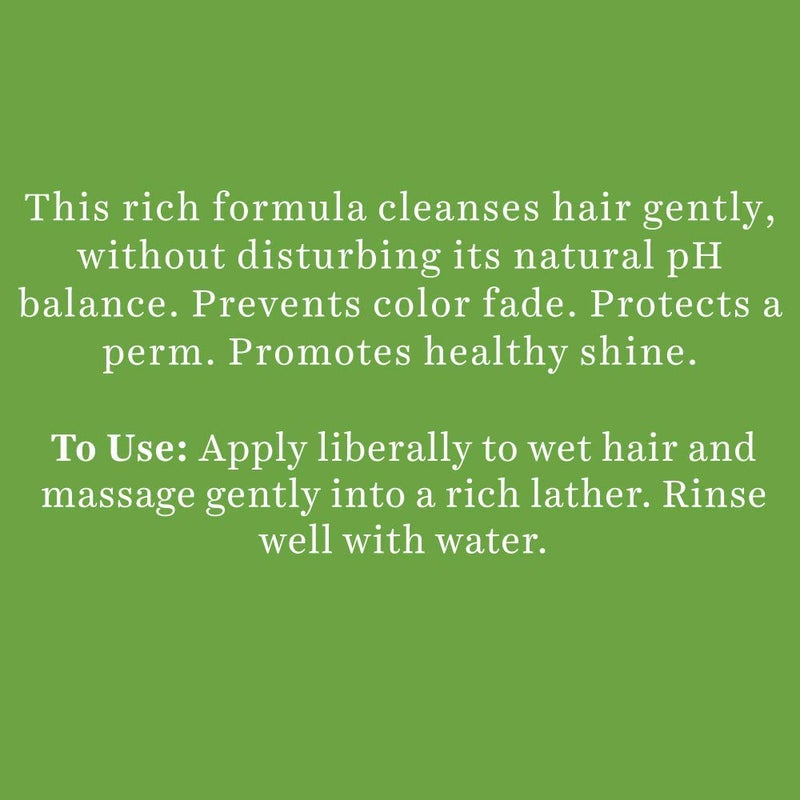 Biotique Bio Soya Protein Fresh Nourishing Shampoo, 180 ml I For Dry Damaged & Color Treated Hair - Image 4