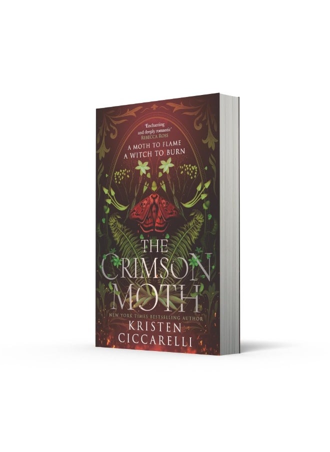 The Crimson Moth: The perfect witch x witch hunter, enemies to lovers, YA romantasy that is a 2024 TikTok favourite  - Image 2