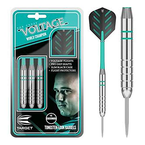 TARGET Rob Cross Silver Voltage Steel Tip Darts, 24 Grams - Image 1