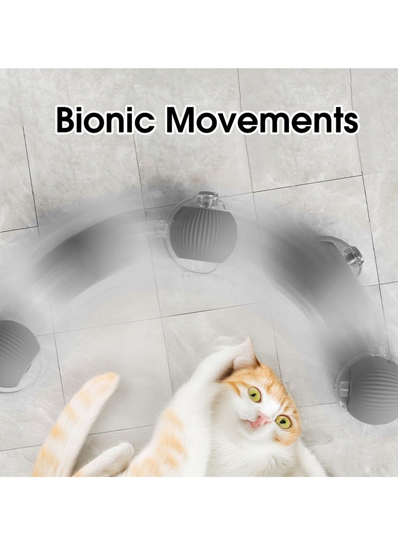 RTYY - Interactive Rolling Cat Toys Ball, Interactive Rolling Dog Ball, Motion Activate Rolling Pet Toys, Automatic Self Moving Dog/Cat for Indoor Cats Toys Fast Rolling on Carpet - Image 1