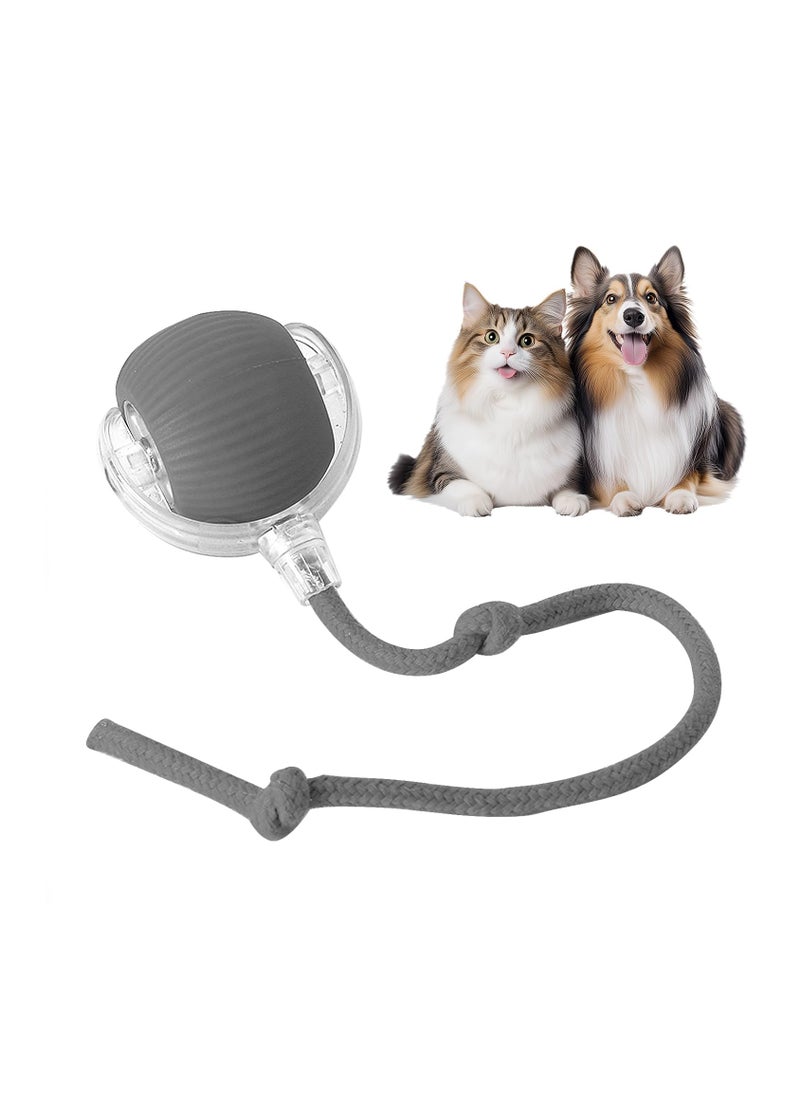 RTYY - Interactive Rolling Cat Toys Ball, Interactive Rolling Dog Ball, Motion Activate Rolling Pet Toys, Automatic Self Moving Dog/Cat for Indoor Cats Toys Fast Rolling on Carpet - Image 1
