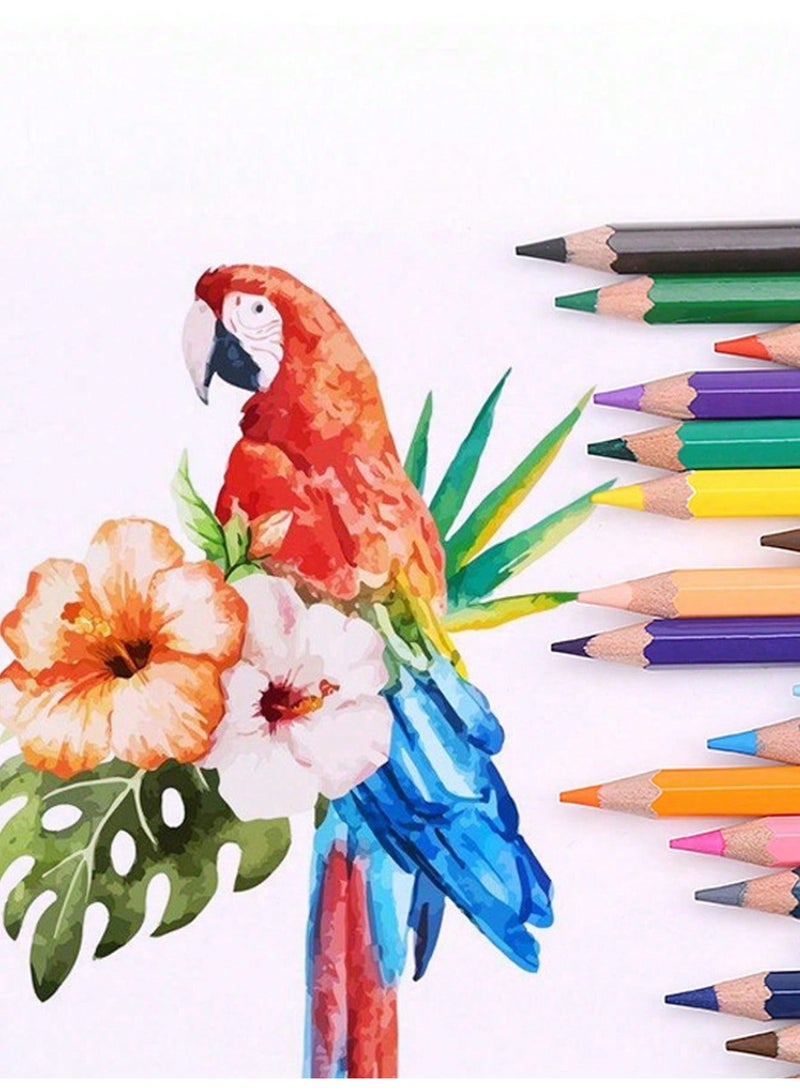 Professional Color Pencil Set with Bucket – 12/18/24/36/48 Vibrant Pre-Sharpened Colored Pencils for Drawing, Sketching, Coloring & Painting | Durable Wooden Art Pencils for Adults, Beginners, Students & Artists | DIY Crafts, School, Office, Coloring Books Included - Image 5