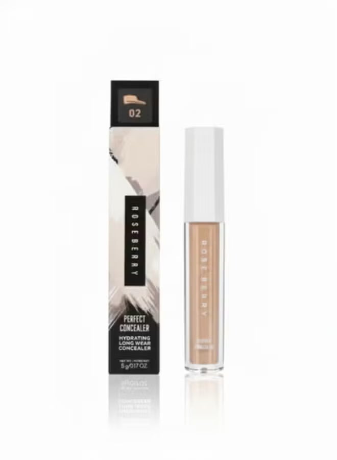 ROSE BERRY Perfect Concealer - Luminous, Hydrating & Long-Wear, Buildable Coverage for Dark Circles and Blemishes - Image 1