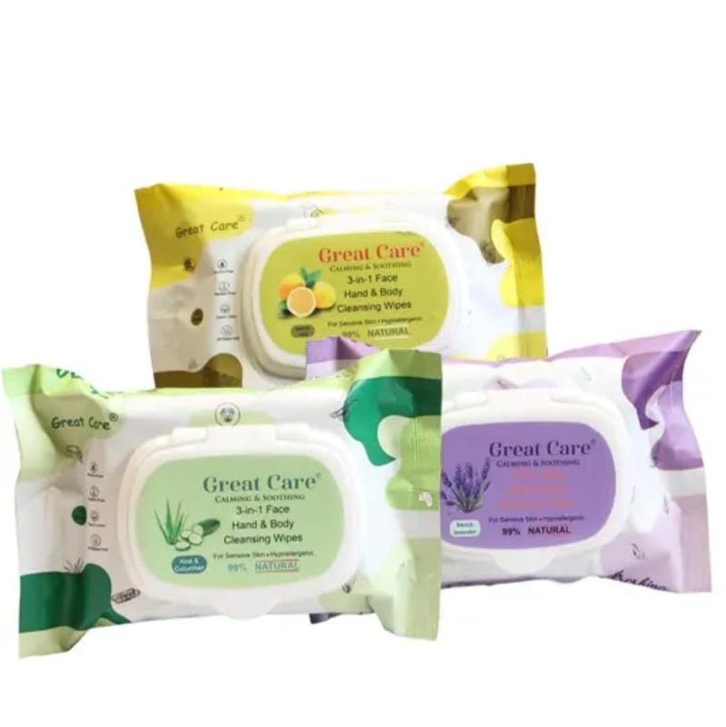 Great Care Daily Cleansing Facial Wipes 25N Each Pack of 3 Wet Wipes for Face with Aloe Vera Cucumber Vitamin E Makeup Remover Wipes HydratingRefreshing SoothingParaben Alcohol Free - Image 1