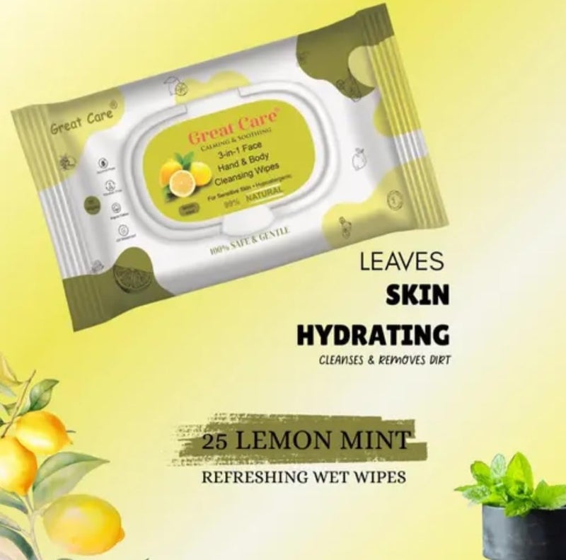 Great Care Daily Cleansing Facial Wipes 25N Each Pack of 3 Wet Wipes for Face with Aloe Vera Cucumber Vitamin E Makeup Remover Wipes HydratingRefreshing SoothingParaben Alcohol Free - Image 5