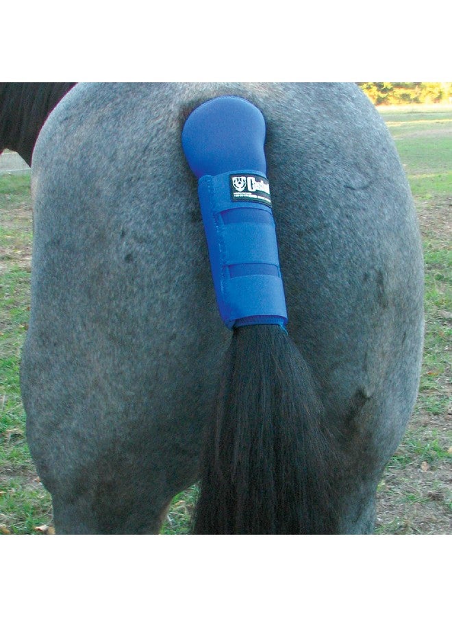 كاشيل درع الذيل، أزرق ملكي - Image 2