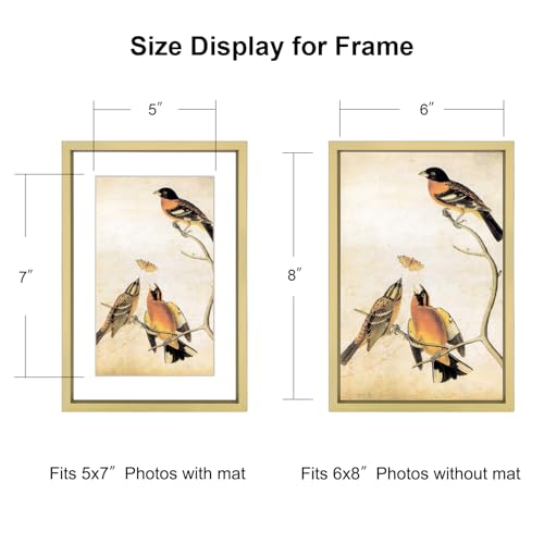 BKABOT 6x8 Picture Frame, Brass Aluminum Metal Photo Frames with HD Glass, Fits 5x7 with Mat or 6 x 8 without Mat, Display for Wall and Table - Image 2