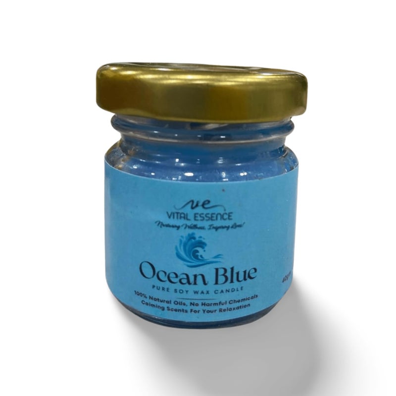 VE VITAL ESSENCE Soy Wax Mini Jar Scented Candles Set of 6 Lavender Jasmine Blue Ocean Sandalwood Vanilla Rose  - Image 2
