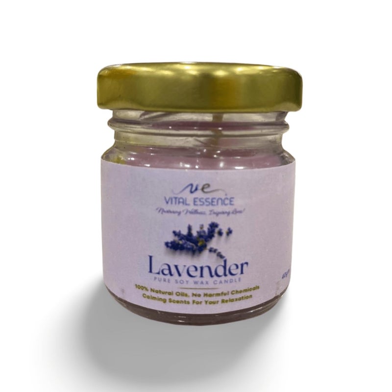 VE VITAL ESSENCE Soy Wax Mini Jar Scented Candles Set of 6 Lavender Jasmine Blue Ocean Sandalwood Vanilla Rose  - Image 4
