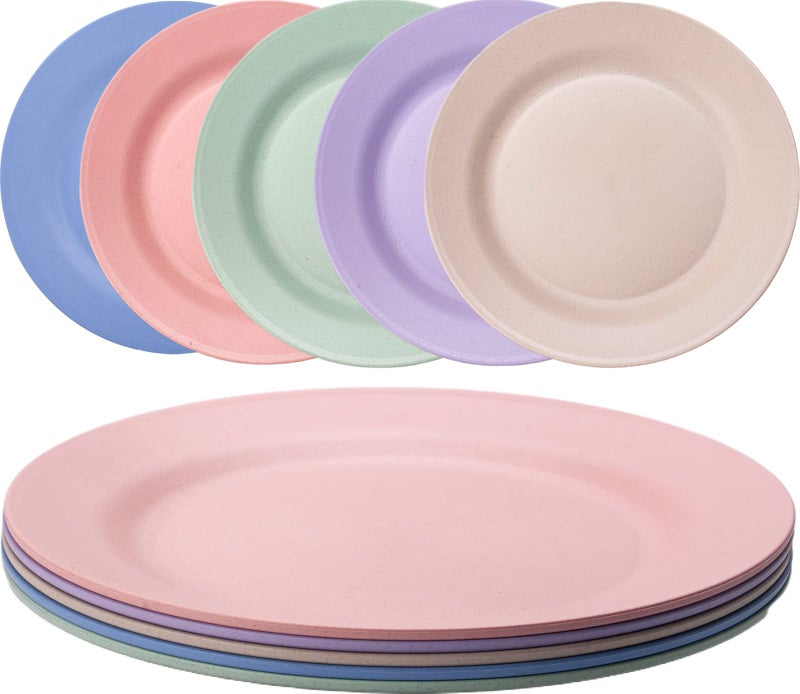 Orrdiffi 10 Dinner Plates Set of 5 Reusable Plastic Plates Dishwasher  Microwave SafeLightweight  Unbreakable Camping Plate BPA Free and Healthy for Adult Kids25cm