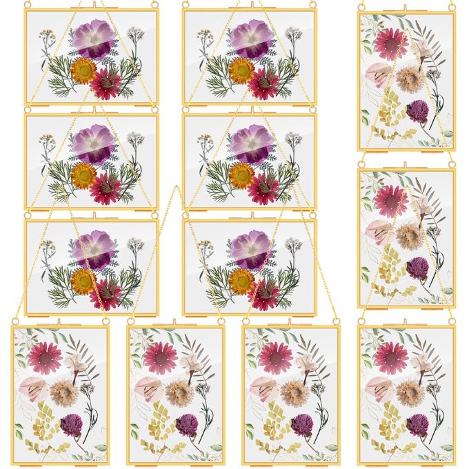 12 Packs Pressed Flowers Glass Frames 5 x 7 Inch Brass Hanging Floating Frame with Chain Double Glass Photo Display for Dried Flowers Plant Specimen Artwork DisplayGold