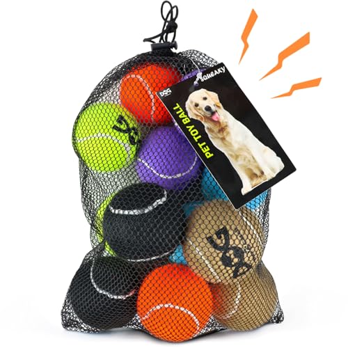 INSUM Squeaky Tennis Balls for Dogs 12 Pack 25 Durable NonToxic Outdoor Dog Toys Balls with Mesh Bag SGS Certified Colorful Fetch Toys Medium Large Breeds - Image 1