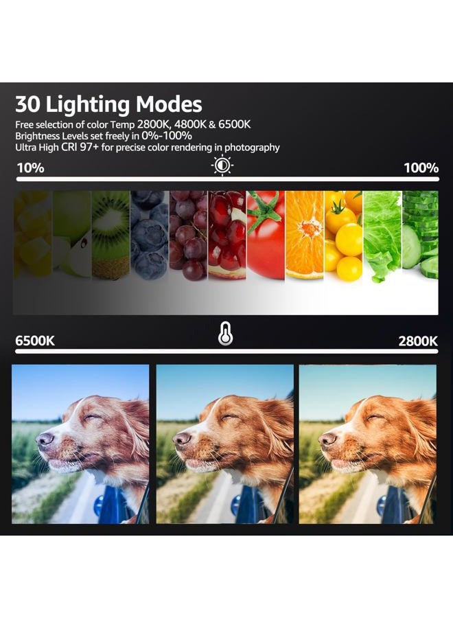 NiceVeedi 2-Pack LED Video Light Kit, NiceVeedi Studio Light, 2800-6500K Dimmable Photography Lighting Kit with Tripod Stand&Phone Holder, 73" Stream Light for Video Recording, Game Streaming, YouTube… - Image 3