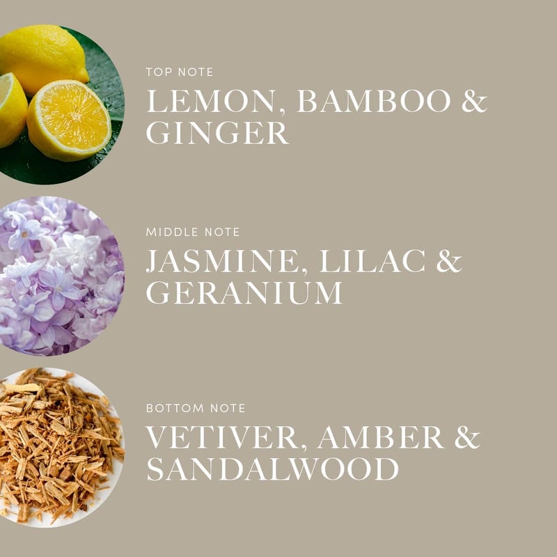 AROMA360 | Champagne Supernova Pro-Pod Oil Blend | Luxury Hotel Inspired Diffuser Scents | Aromatherapy Scent Diffuser Oil | Bamboo, Jasmine and Ginger 1.7 fl oz, 50 mL - Image 3