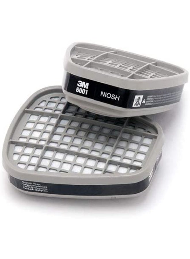 خرطوشة أبخرة عضوية 3M™6001