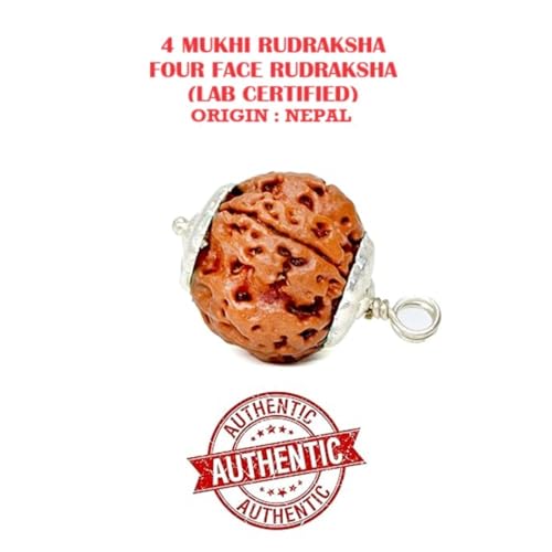 ASTRODIDI 4 Mukhi Rudraksha Pendant with Lab Certified | Nepali Four Face Original Rudraksh | Astrological Benefits | Unisex Design for Men & Women Boys and Girls - Image 2
