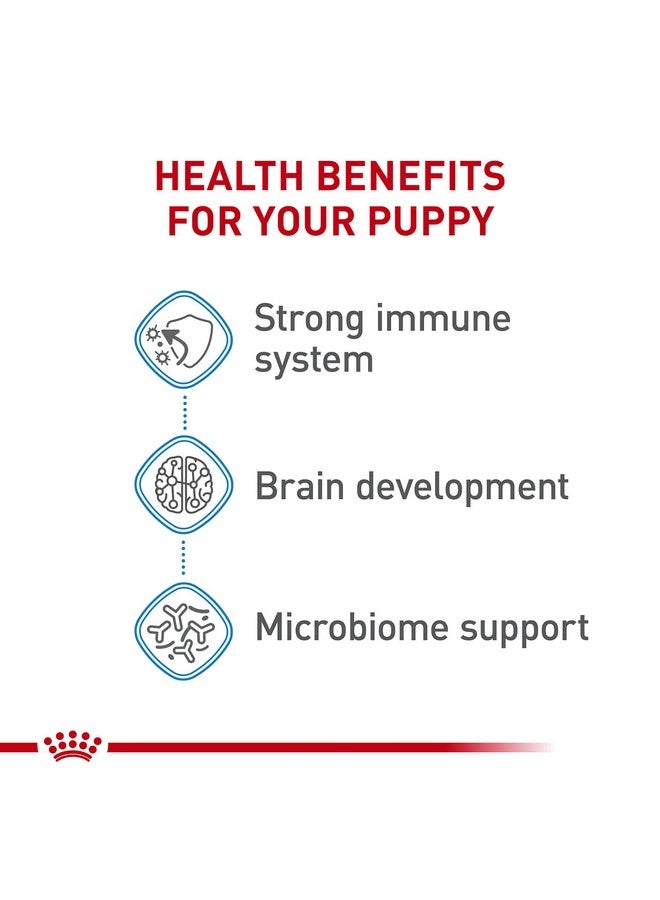 ROYAL CANIN Size Health Nutrition XSmall Breed Dry Puppy Food, Supports Brain Development, Immune Support And Digestive Health, 3 Lb Bag - Image 4