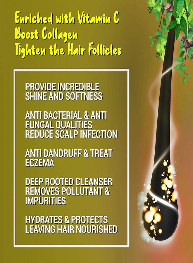 سئم خدي حربل مجموعة S2M العشبية لإنبات الشعر - 36 عبوة | تركيبة عشبية أيورفيدية نقية لمكافحة القشرة والفطريات وتعزيز نمو الشعر | خالية من البارابين (عبوتان، 210 مل لكل عبوة) - Image 4