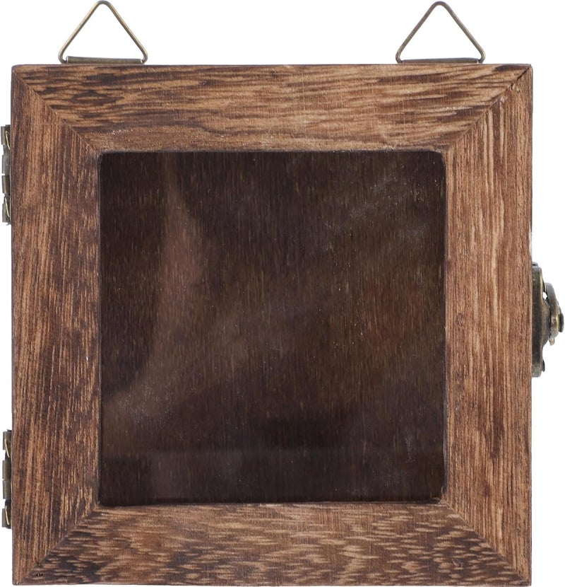 صندوق عرض العينات إطار ظل 10x10x4.5 سم غطاء زجاجي بلون الكربون حائط معلق حامل حشرات لعرض الفراشات ومجموعة الزهور المجففة - Image 1