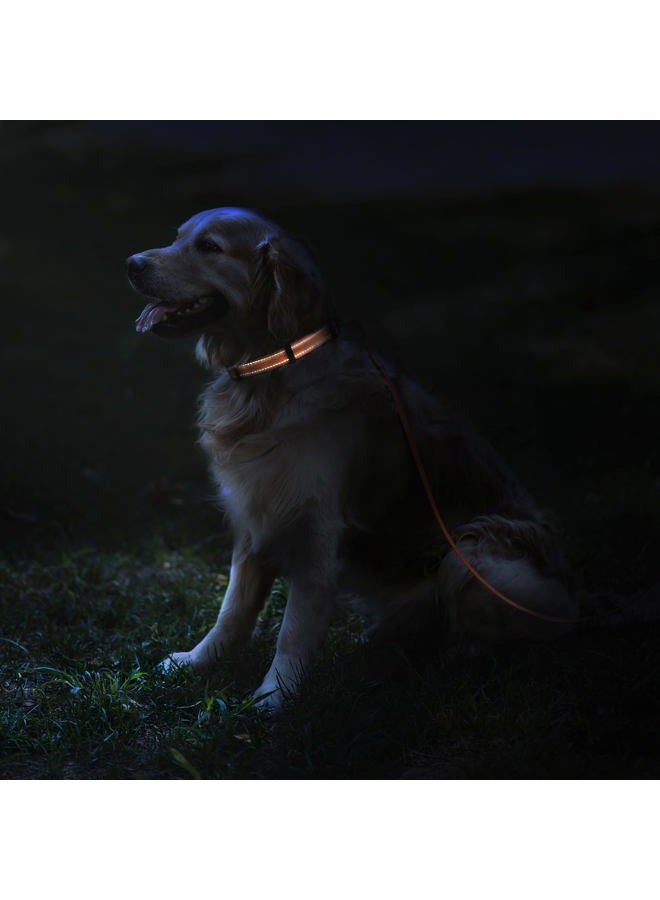 CollarDirect Reflective Dog Collar for a Small, Medium, Large Dog or Puppy with a Quick Release Buckle - Boy and Girl - Nylon Suitable for Swimming (10-13 Inch, Yellow) - Image 3