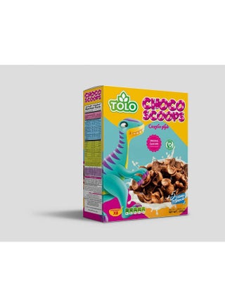 رقائق الشوكولاتة - 250 جرام - pzsku/Z5B788CFB9EBD8CBE1B7FZ/45/_/1722167385/c9fc66db-16e9-4a3b-8cb2-00a78aa42c37