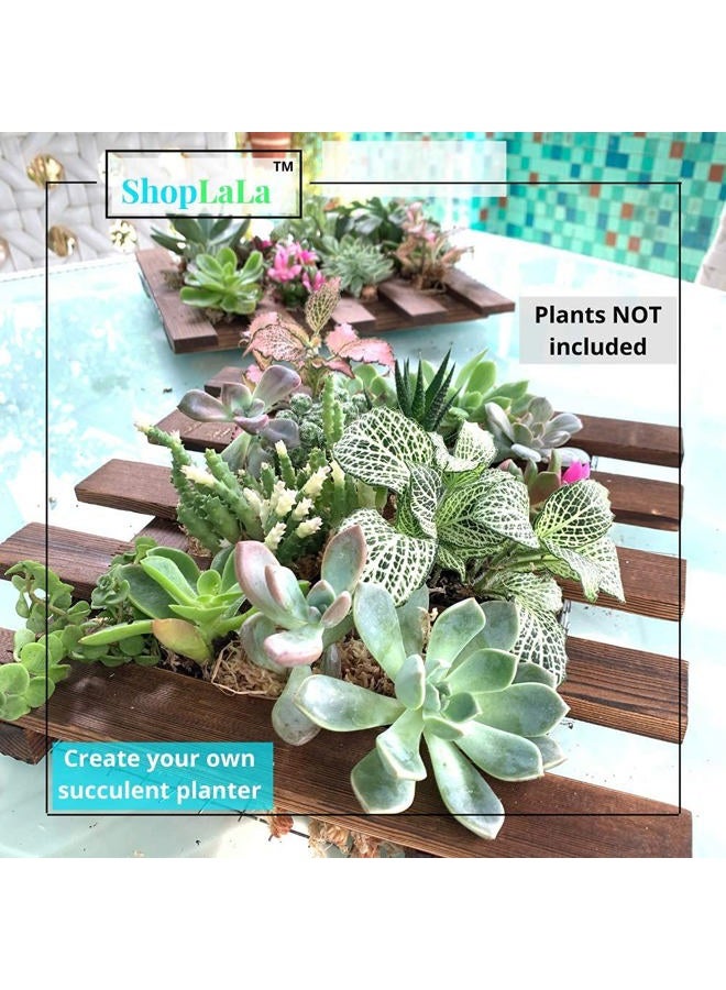 ShopLaLa Wall Planter - 2 Pack Wooden Hanging Planter for Indoor Plants, Air Plant Succulent Holder, Vertical Garden. Plant Wall Decorations for Balcony, Wall Decor for Living Room, Room Decor for Teens - Image 3