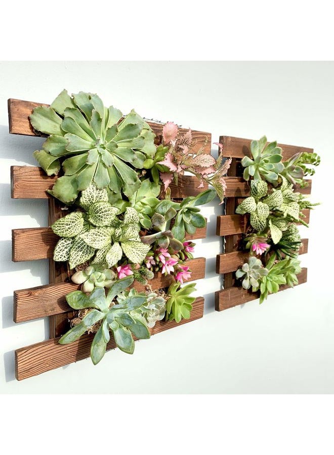 ShopLaLa Wall Planter - 2 Pack Wooden Hanging Planter for Indoor Plants, Air Plant Succulent Holder, Vertical Garden. Plant Wall Decorations for Balcony, Wall Decor for Living Room, Room Decor for Teens - Image 1