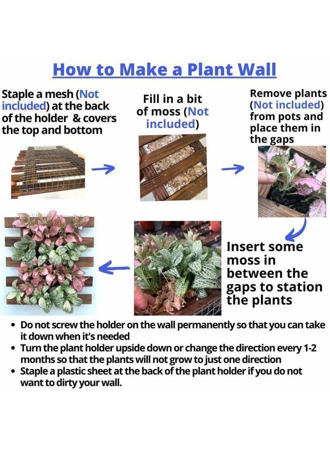 ShopLaLa Wall Planter - 2 Pack Wooden Hanging Planter for Indoor Plants, Air Plant Succulent Holder, Vertical Garden. Plant Wall Decorations for Balcony, Wall Decor for Living Room, Room Decor for Teens - Image 5