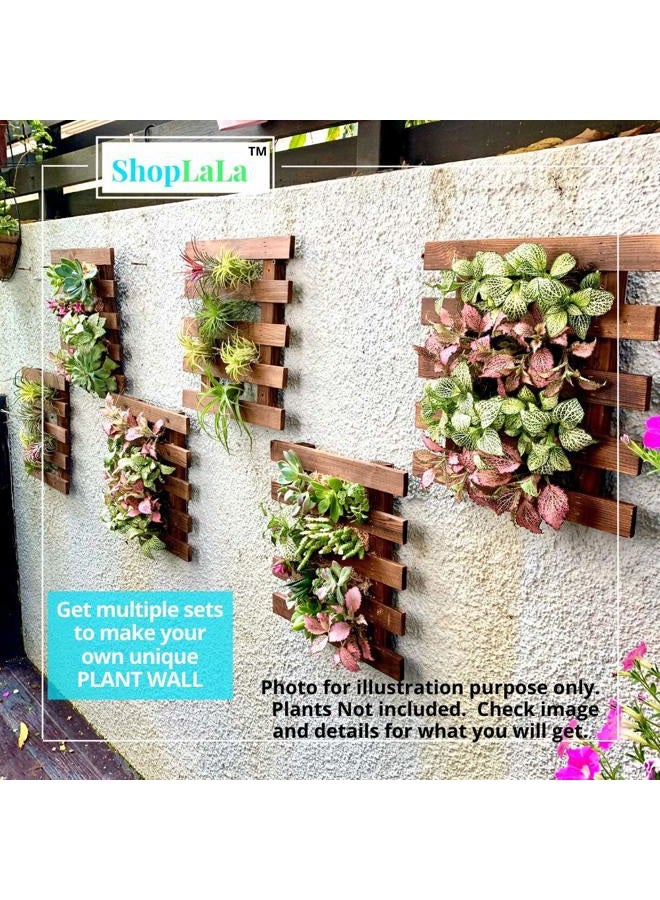 ShopLaLa Wall Planter - 2 Pack Wooden Hanging Planter for Indoor Plants, Air Plant Succulent Holder, Vertical Garden. Plant Wall Decorations for Balcony, Wall Decor for Living Room, Room Decor for Teens - Image 4
