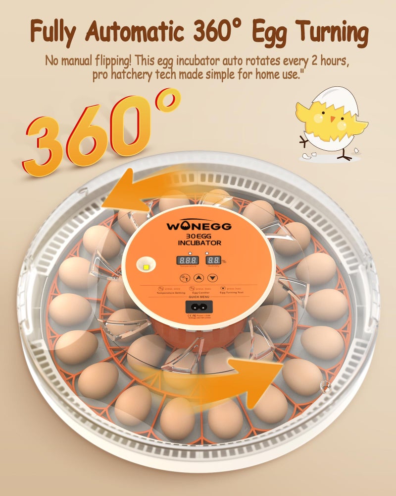 WONEGG Incubator for Hatching Eggs, 30 Eggs Incubator with Automatic Egg Turning, Temperature Control u0026 Humidity Display, LED Egg Candler, for Chicken, Quail, Parrot Eggs - Image 3