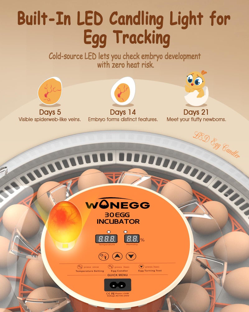 WONEGG Incubator for Hatching Eggs, 30 Eggs Incubator with Automatic Egg Turning, Temperature Control u0026 Humidity Display, LED Egg Candler, for Chicken, Quail, Parrot Eggs - Image 5