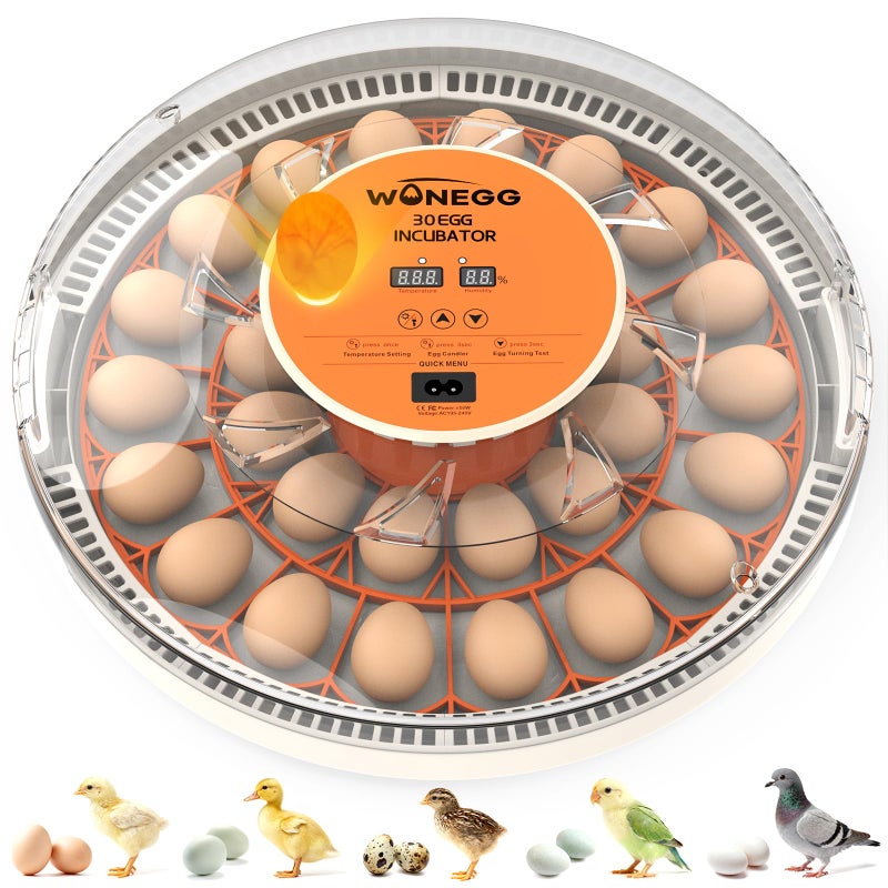 WONEGG Incubator for Hatching Eggs, 30 Eggs Incubator with Automatic Egg Turning, Temperature Control u0026 Humidity Display, LED Egg Candler, for Chicken, Quail, Parrot Eggs - Image 1