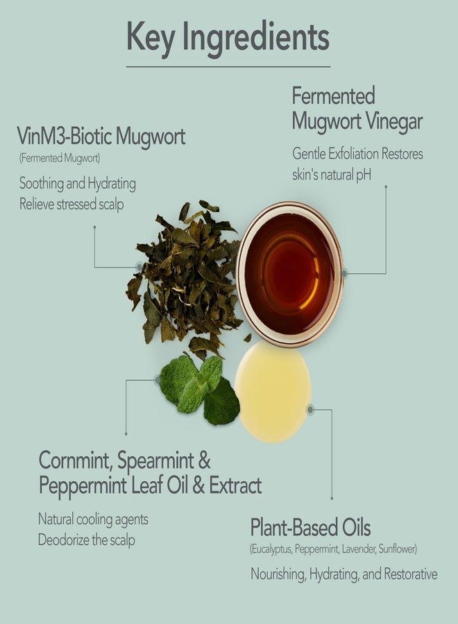 107 SCALP COOLING Breeze Shampoo - Soothing & Refreshing scalp cooling shampoo with 3-Year Aged Fermented Mugwort Vinegar – Scalp Care, Sebum Control (12.84 oz) - Image 3