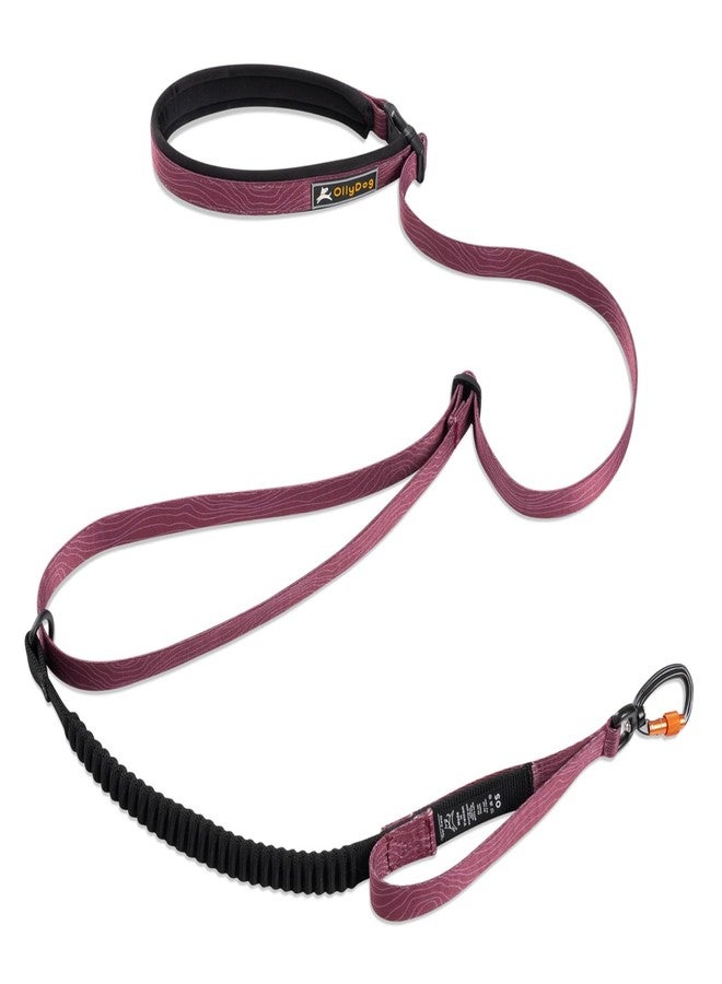 OllyDog طوق زنبركي قابل للتعديل من OllyDog Flagstaff، ماص للصدمات، طوق مطاطي للكلاب مع حلقة تسلق، يُحمل باليد أو يُلبس على الخصر، مناسب للجري وركوب الدراجات والمشي لمسافات طويلة (نقشة خشب الورد) - Image 1