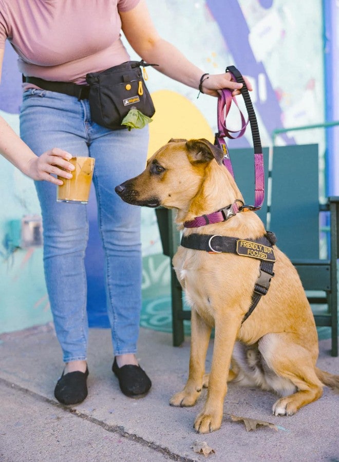OllyDog طوق زنبركي قابل للتعديل من OllyDog Flagstaff، ماص للصدمات، طوق مطاطي للكلاب مع حلقة تسلق، يُحمل باليد أو يُلبس على الخصر، مناسب للجري وركوب الدراجات والمشي لمسافات طويلة (نقشة خشب الورد) - Image 2