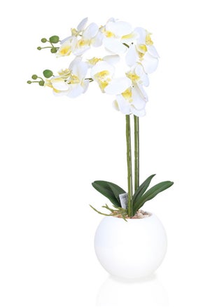 white3