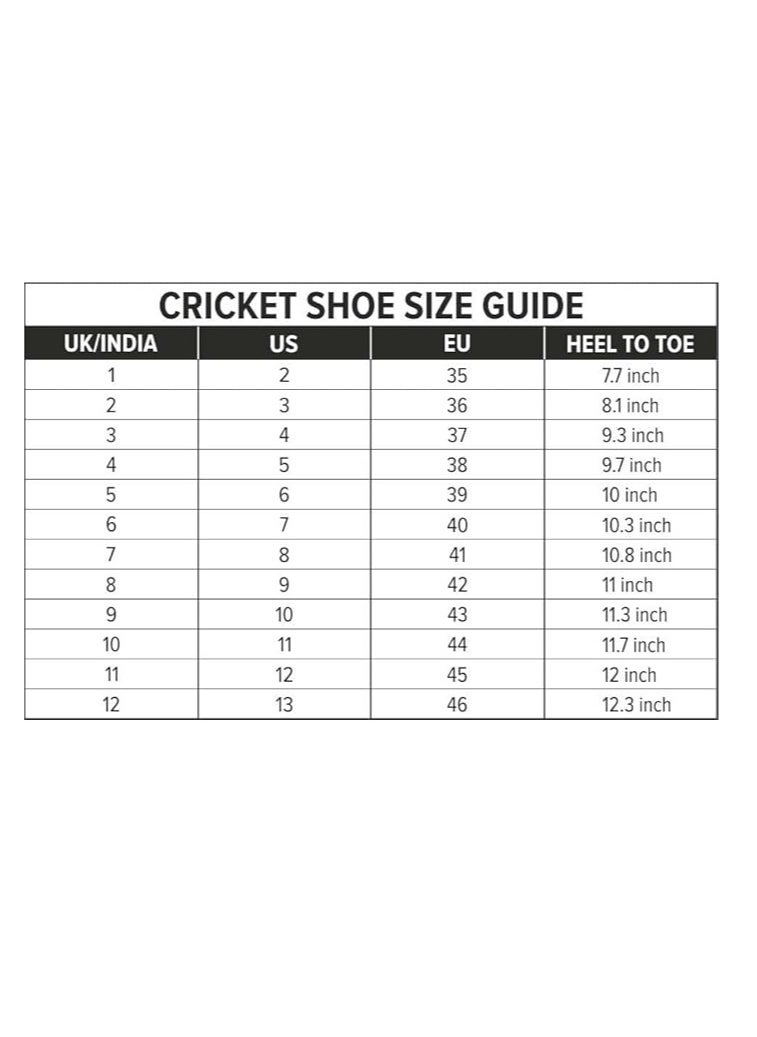 DSC - DSC Zooter Cricket Shoes  Lightweight Durable And comfort For Boys And Men - Image 1