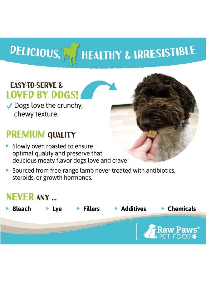 Raw Paws Lamb Lung Treats for Dogs, 8-oz - Packed in USA - Free Range Dehydrated Lamb Lung Treats for Dogs - Crunchy Natural Lamb Lung Bites - Dog Treat Lamb Lung Training Treats - Lamb Lung Filets - Image 5