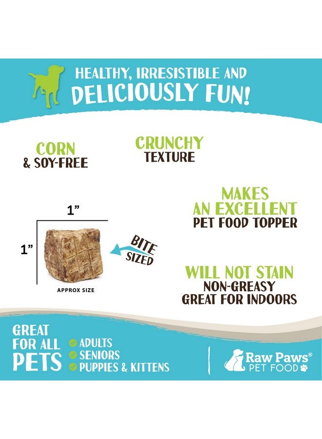 Raw Paws Lamb Lung Treats for Dogs, 8-oz - Packed in USA - Free Range Dehydrated Lamb Lung Treats for Dogs - Crunchy Natural Lamb Lung Bites - Dog Treat Lamb Lung Training Treats - Lamb Lung Filets - Image 3