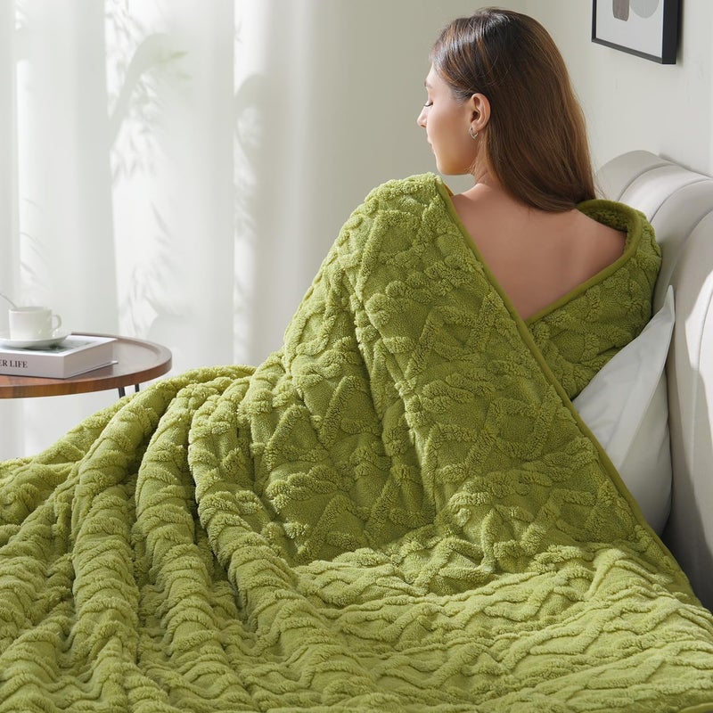 Drewin Weighted Blanket Twin Size 15 lbs, Cozy Jacquard Sherpa Weighted Blankets for Adults for Winter, Comfortable Sofa Bed Blanket for Sleeping Natural and Calming, 48 x 72 inches, Grass Green - Image 1