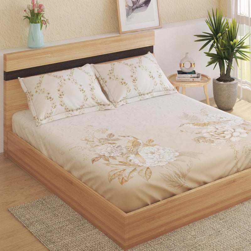 Home Centre Natura Capers Cotton 250TC Floral Print 3Pcs King Fitted Bedsheeet Set - Image 1