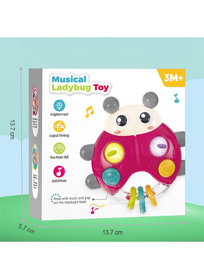 COGNIKIDS لعبة خنفساء موسيقية للأطفال - لعبة صوتية تفاعلية للرضع 3 أشهر فما فوق | أصوات وموسيقى ممتعة، لعبة حسية لتطوير المهارات الحركية الدقيقة | تصميم من السيليكون الناعم وABS | بطاريات متضمنة - Image 5