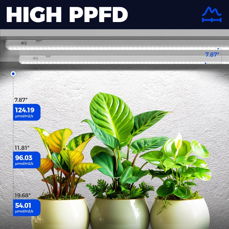 Barrina T5 Grow Lights for Indoor Plants, 3FT 128W (8 X 16W) Full Spectrum Grow Light with Separate Switch, Linkable Grow Lamp, Indoor Plant Lights for Growth, Plug and Play, 5000K, 8 Packs - Image 3