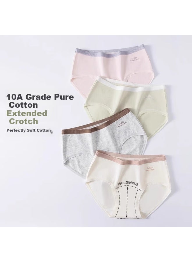 PLANDOO Palando Women's Cotton Antibacterial Breathable Seamless Fashion Color-block Waistband Underwear 4-pack M - Image 2