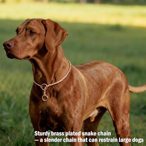 Ximipet Heavy Duty Dog Choke Collar Slip Dog P Chain Snake Collar Plating Anti-Rust Dog Training Collars for Small Large Dogs Black/Gold/Silver/Rose Gold 15.5in-29.5in (21.5in, Gold) - Image 5