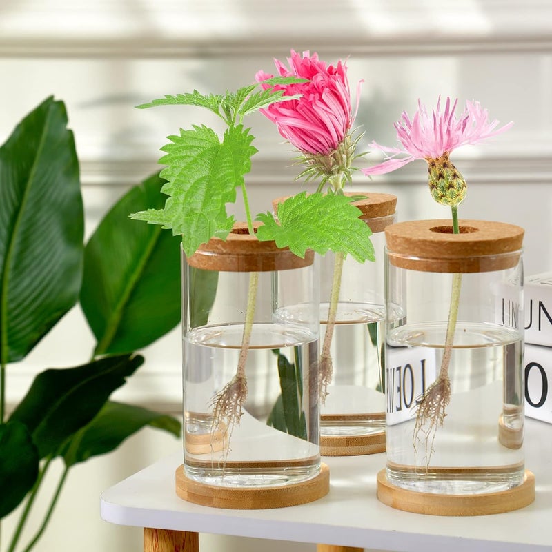 Rtteri 6 قطع حوض زراعة زجاجي للديكور المكتبي مع حاويات لنشر النباتات مع سدادات وطبق خشبي لزراعة النباتات المائية للحديقة وزينة المنزل والمكتب 256 × 4 بوصة - Image 3