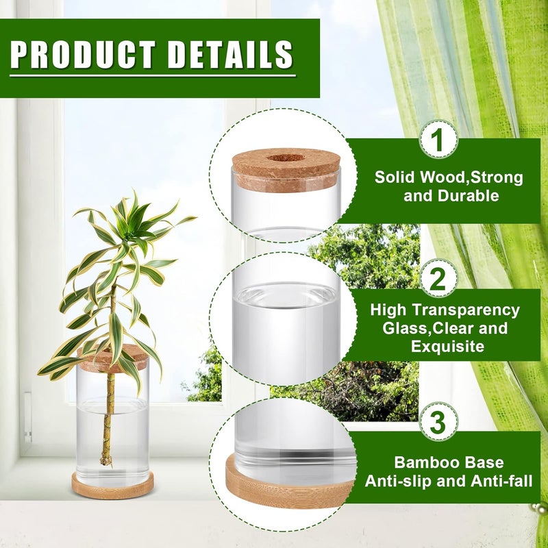 Rtteri 6 قطع حوض زراعة زجاجي للديكور المكتبي مع حاويات لنشر النباتات مع سدادات وطبق خشبي لزراعة النباتات المائية للحديقة وزينة المنزل والمكتب 256 × 4 بوصة - Image 4