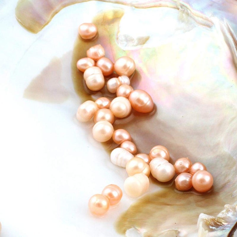 POSHOPS Oyster Pearls, POSHOPS Freshwater Cultured Big Oysters with Pearls Inside Pearl an Oysters Home Decoration Jewelry Making - Image 5
