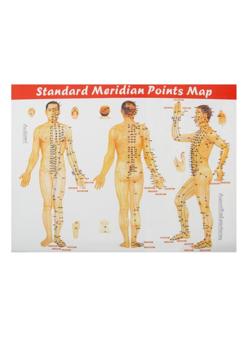  فيكتوال مجموعة من 20 قطعة من حجر البازلت الطبيعي الناعم المحمول، جهاز تدفئة حجر التدليك مع صندوق تسخين للسبا والعلاج (قابس المملكة المتحدة) - Image 3