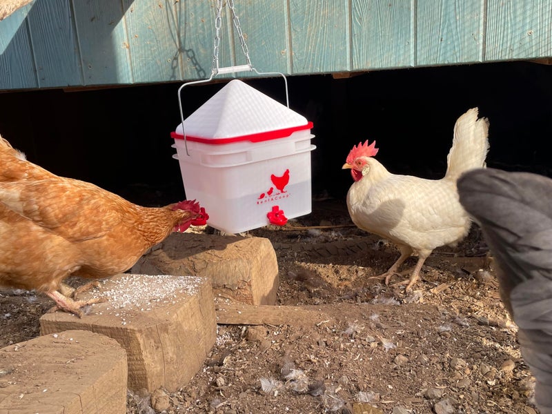RentACoop 2 Gallon Chicken Waterer, BPA-Free Plastic Bucket Waterer Set with 4 Horizontal Nipples, Large Capacity Poultry Waterer - Center Placement - Image 2